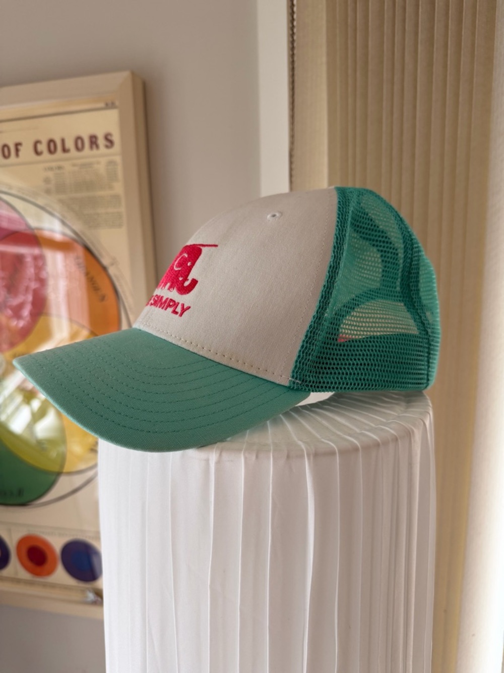 Patagonia Live Simply Teal Trucker Hat with White Interior Panel